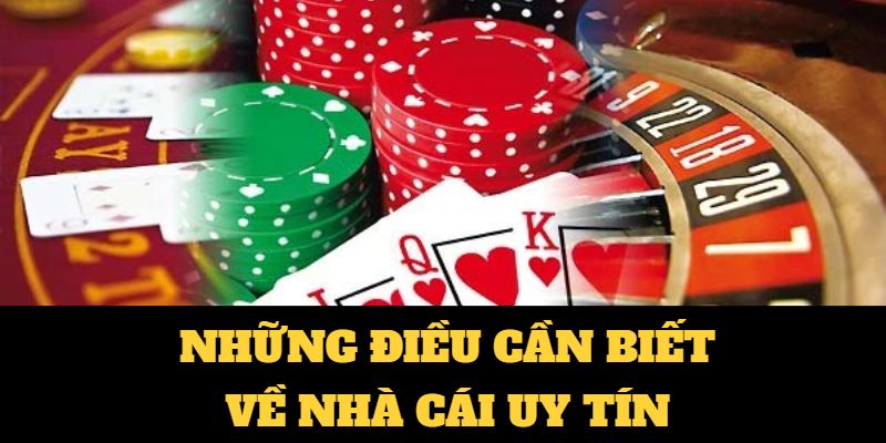 tinycat99 game 24h 2 người đánh nhau